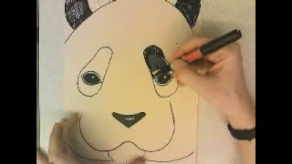 Jennah Fox, Directed draw, panda tutorial
