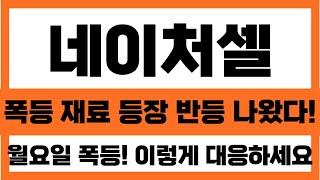 [네이처셀 주가분석]폭등 재료 등장 반등 나왔다!! 월요일 폭등!! 이렇게 대응 하세요 2월 일정 RMAT 미팅 곧 나온다#네이처셀주가전망 #네이처셀분석