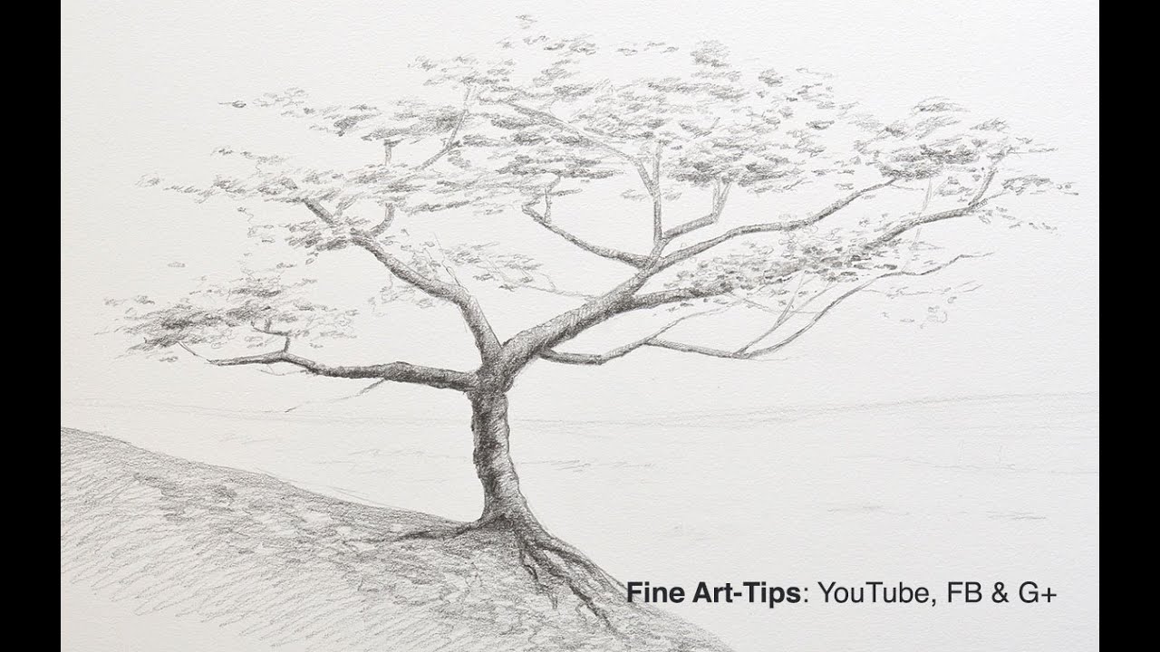 How To Draw A Tree Step By Step With Pencil