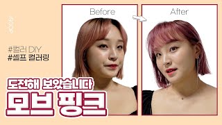 [JLOG] 물빠진 핑크머리, 셀프염색으로 분위기 전환 🎀