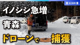 東北で野生イノシシ急増　青森県がドローン活用、捕獲の実証実験