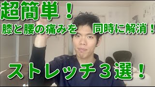 超簡単！腰と膝の痛みを同時に解消する３つのストレッチ！　埼玉　春日部　整体院　優 -YU-