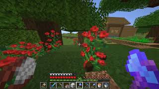 Minecraft Anarchy #050 - Object-Oriented Programming is Embarrassing