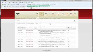 ScreenCasting activeCollab Overview