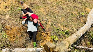 Agricultural truck transporting wood; girl wrongly accused; what happens when the man's wife returns