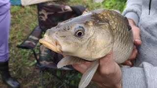 Рыбалка с друзьями 🎣 И отдохнули и наловили карпов.