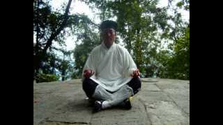 Wudang Master Of Dragongate Kungfu 武当龙门派传人