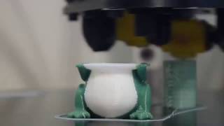 Phineas 3DP 250 Dual print test. (Travel Frog)