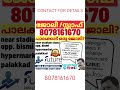 palakkad job 2023 future job palakkad palakkad job keralajobs