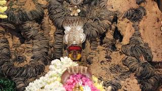 shree vadanabail padmavathi devi mahamangalarathi mulastana date 03-02-2025