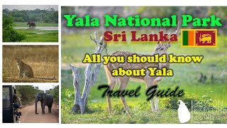 Exploring Yala National Park: Wildlife Safari \u0026 Best Attractions in Sri Lanka #travel