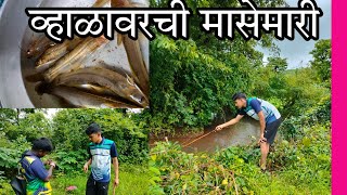 व्हाळातले मासे गरवून पकडण्याची मज्जा वेगळीच🤗 #आपलं_कोकण🏝️ #viralvideo #viral