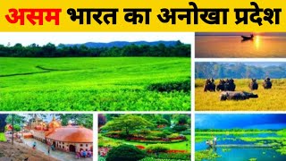 असम भारत का एक अनोखा राज्य//Assam is a beautiful state