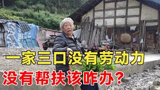 贫困山区这样的家庭，一家三口没有劳动力！要是没帮扶了咋办【乡村阿泰】