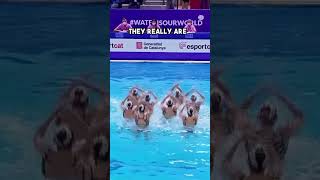 Intense Choreography From Team Italy  #artisticswimming #choreography #swimming