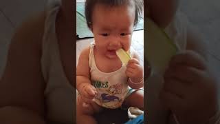 best video of cute baby eating lemons for the first time-Try not to laugh