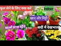 Kalanchoe indoor outdoor flower plant How to get more flowers till October to April