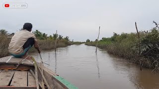 #17 This FISH is Too Many, Installing a TUGUK in the Ditches of the Rice Fields Musi River fishermen