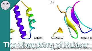 The Chemistry of Rubber