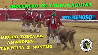FORCADOS  AMADORES  TERTULIA T. MONTIJO PORTUGAL  ENCUENTRO DE TAUROMAQUIAS DE MONTEHERMOSO 2022 4K