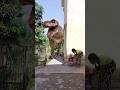 T Rex Chase short | Jurassic World Fanshorts #shorts #dinosaur bhago #jurassicworldOriginal sound