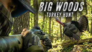 Late Season Turkey Hunting in the Big Woods | Hard Lesson