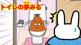 うさな、トイレの夢をみるの巻💙寝る前はトイレへ