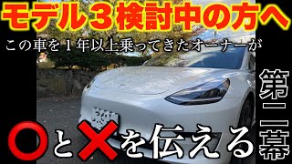 【実際どうなの？】モデル3に1年以上乗ってきたオーナーが忖度なしのガチトーク！使用感とか感じてきたこと全部伝えます！パート②