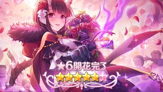 【プリコネR】エリコ★6 解放クエスト 才能開花  限定なし