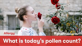 What is today's pollen count?