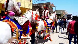 स्पेशल बारात में घोड़ी और डिजे का जलवा | Ghodi Dance | Aaj Mere Yaar Ki Shadi | Rajasthani Barat2023