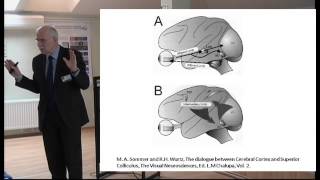 Prof. Ivars Lācis: Review of eye movement in reading