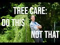 Not sure how to care for your trees? 4 Simple Steps to Happy, Healthy Trees