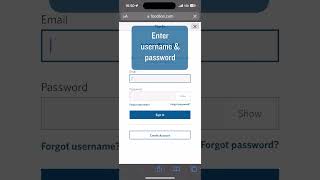 How to Log In with foodlion.com