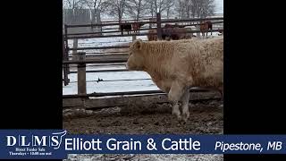 DLMS Direct - Elliott Grain \u0026 Cattle