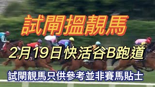 2月19日試閘搵靚馬