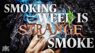 #IUIC | Smoking weed is strange smoke #iuicconnecticut