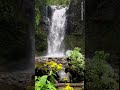 Lost Waterfalls of Boquete 💦 #panamajungle #waterfall #boquete