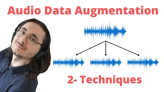 Audio Data Augmentation Techniques: The Theory