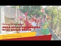 LUAR BIASA... PENAMPILAN GROUP DRUMBAND MI AL QAMAR PADA KARNAVAL DUSUN JEGONG WILANGAN NGANJUK