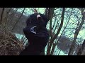 nosgov - galaxies (MV)