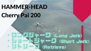 HAMMER-HEAD(ハンマーヘッド) Cherry Pai(チェリーパイ) 200 SUS 使用インプレ･評価･アクション動画！