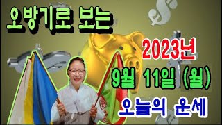 오방기로 보는2023년9월11일(월요일) 오늘의운세    \