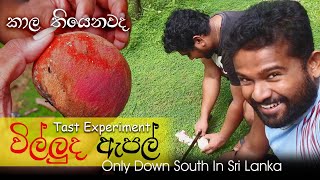 කාල තියෙනවද? කන්න දන්නවද? විල්ලුද ඇපල් |Velvet Apple | Sri Lankan Apple