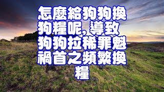 怎麼給狗狗換狗糧呢,導致狗狗拉稀罪魁禍首之頻繁換糧