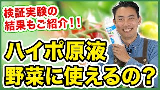 【園芸の基本】ハイポネックス原液は野菜に使えるのか？〜注意すべき使用方法もあわせてご紹介！～【園芸塾】【ハイポネックス】