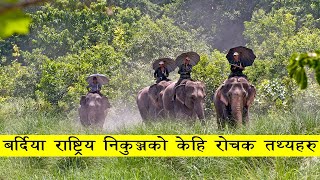 बर्दिया राष्ट्रिय निकुञ्जको विस्तृत विवरण र रोचक तथ्यहरु | Bardiya NP