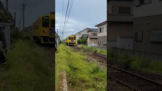 @ウメボーー　島原鉄道　１両編成　和むな～#short#鉄道#１両編成