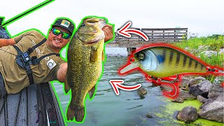 Bass Fishing ULTRA SHALLOW Water w/ Crankbaits!! (Summer Rip Rap Cranking)