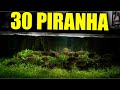 700 GALLON PIRANHA AQUARIUM - 4 YEARS LATER - shocking results - monster fish tank - the king of DIY